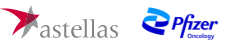 Astellas Pharma Inc.